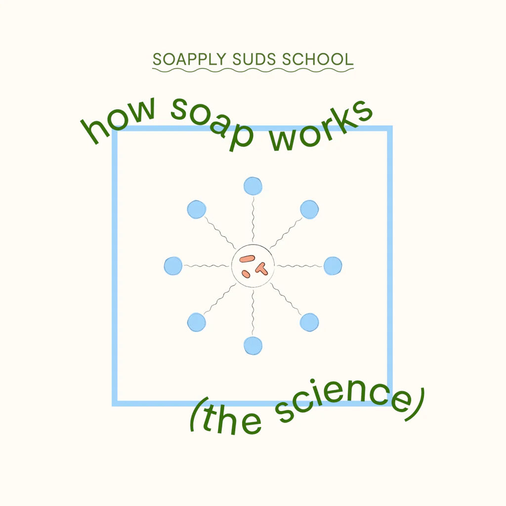 How Soap Works (The Science)!