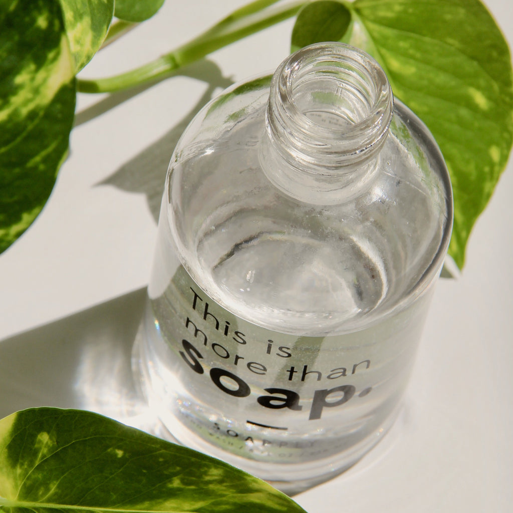 Handwash Upcycle: Pothos Plant Propagator