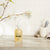 Liquid Hand Wash - Soapply